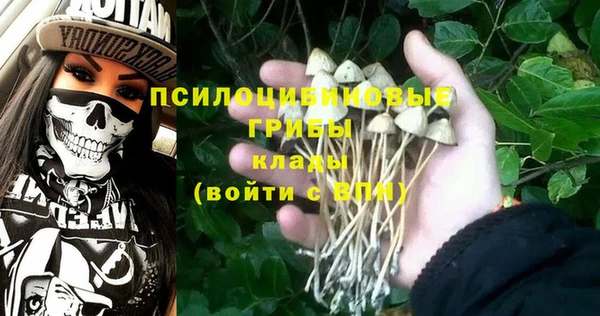 соль курить ск Нязепетровск