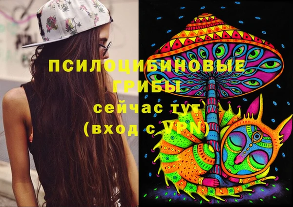 стафф Няндома