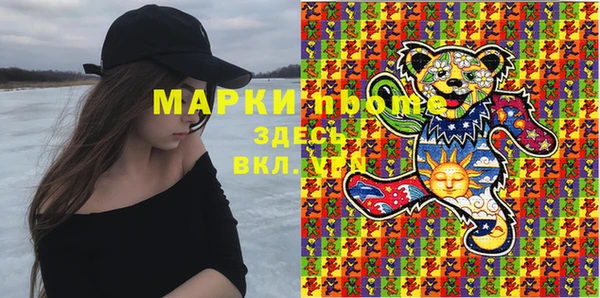 прущие грибы Новодвинск