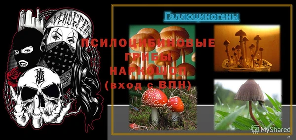 соль курить ск Нязепетровск